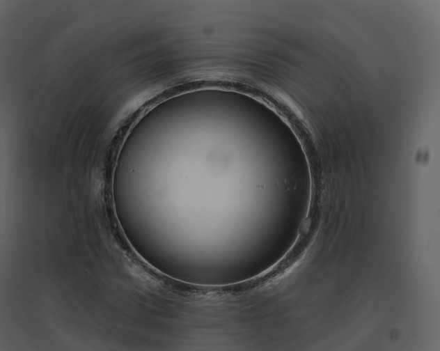 X0000096640922200802121106