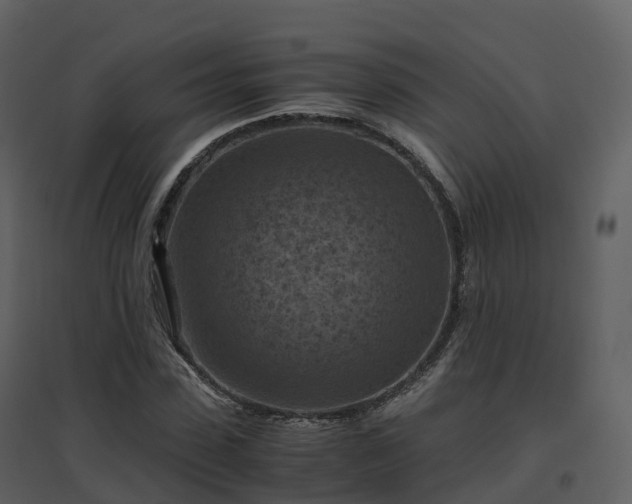 X0000096640923200802121107