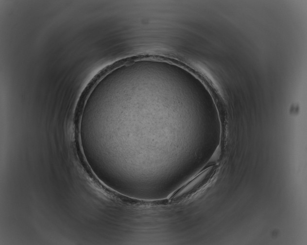 X0000096640924200802121107