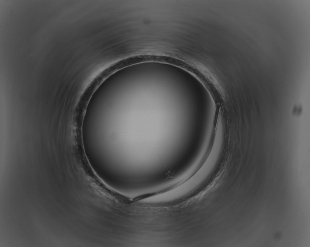X0000096640926200802121107