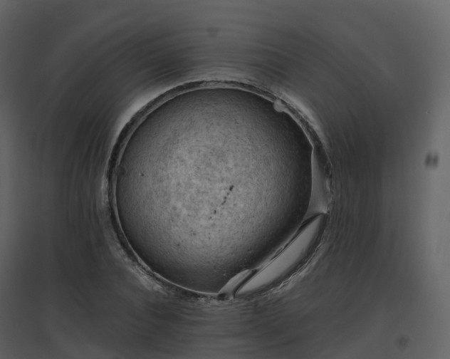 X0000096640928200802121107