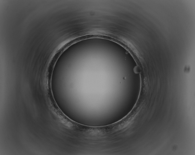 X0000096640931200802121107