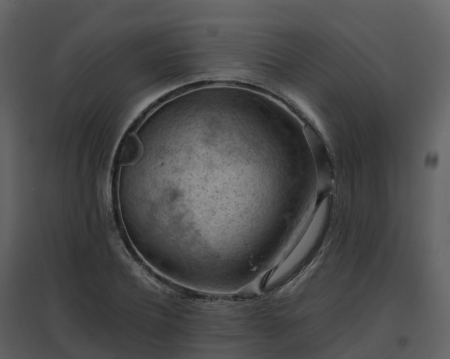 X0000096640932200802121107