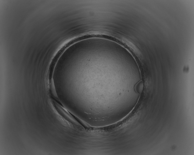 X0000096640934200802121107