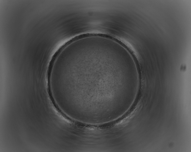 X0000096640935200802121107
