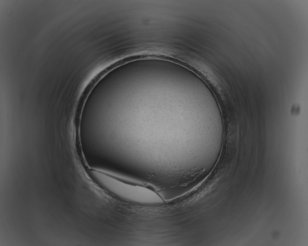 X0000096640936200802121107