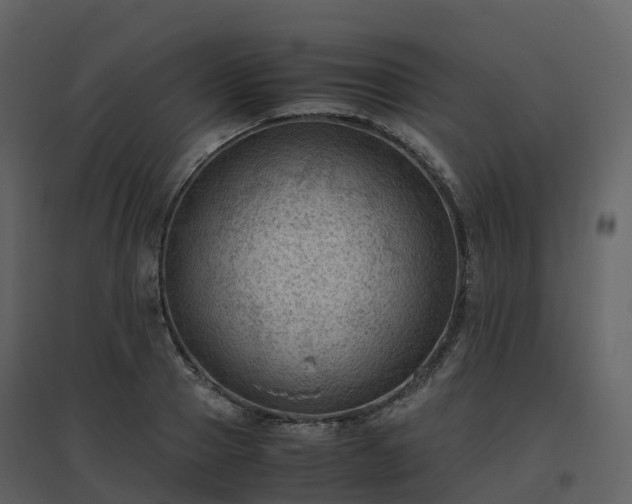 X0000096640937200802121107