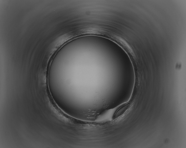 X0000096640938200802121107