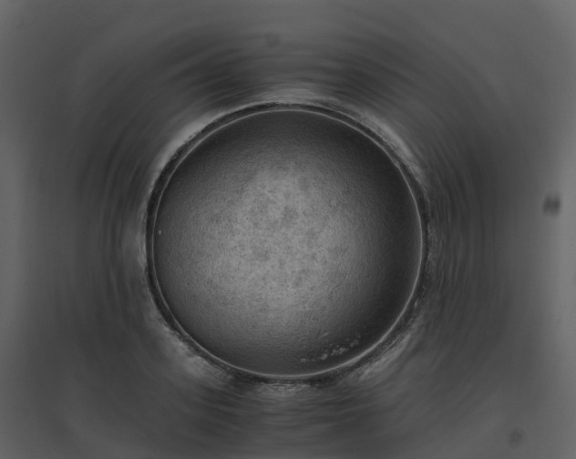 X0000096640939200802121107