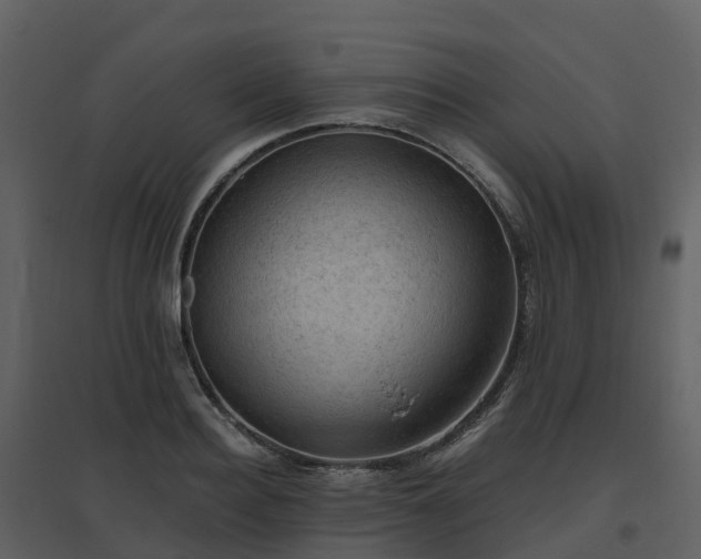 X0000096640940200802121107