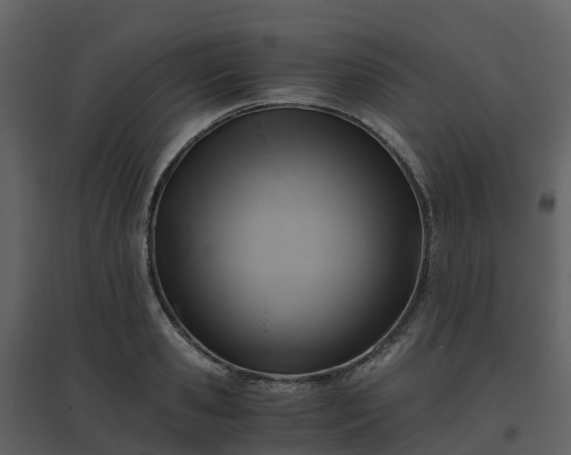 X0000096640941200802121107