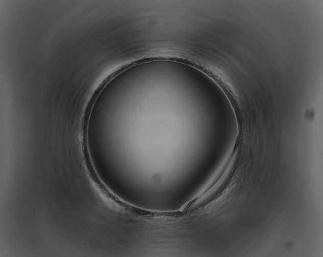 X0000096640942200802121107