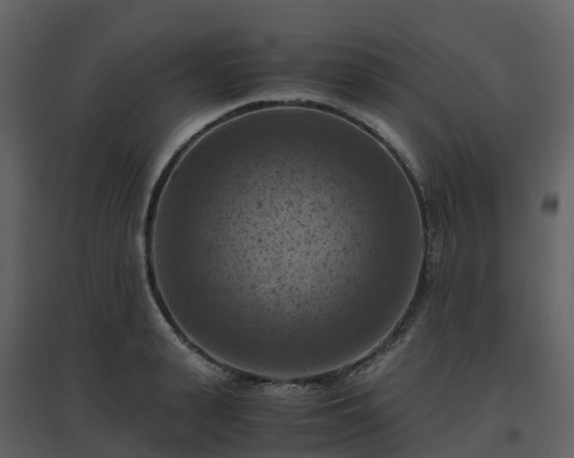 X0000096640943200802121107