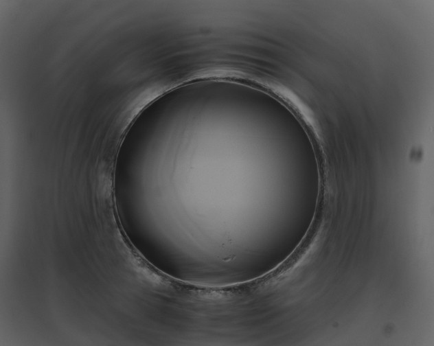 X0000096640945200802121107