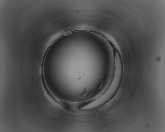 X0000096640946200802121107