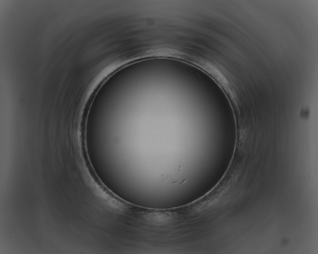X0000096640947200802121107