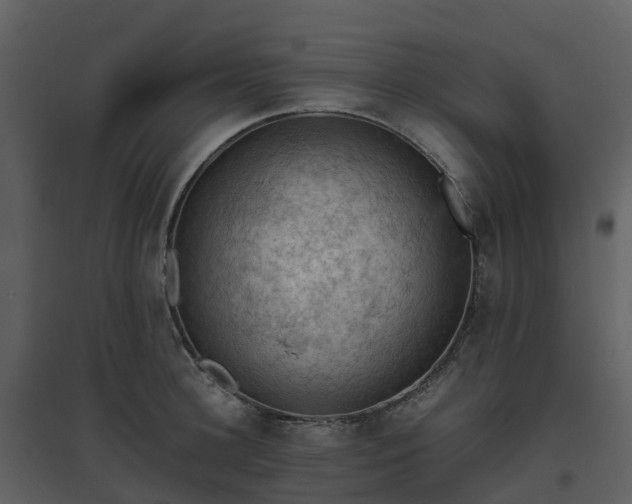 X0000096640948200802121107