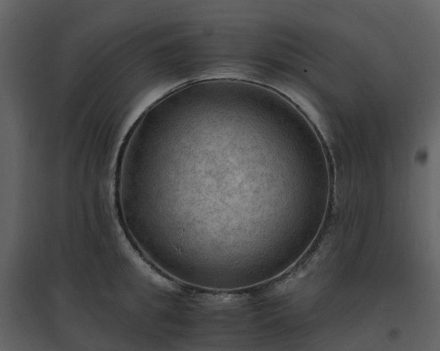 X0000096640949200802121107