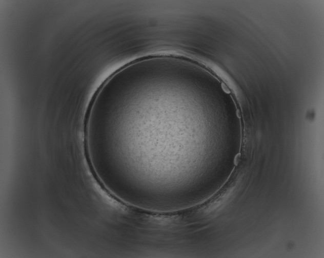 X0000096640951200802121107