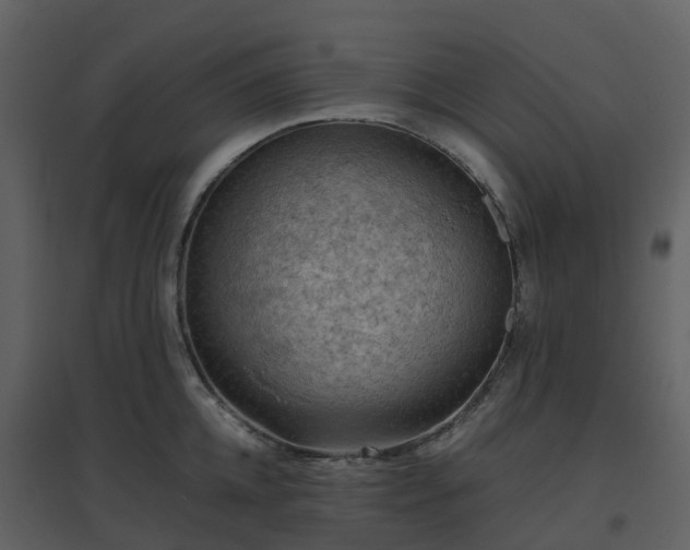 X0000096640952200802121107