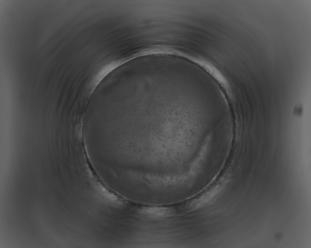 X0000096640953200802121107