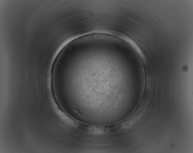 X0000096640955200802121107
