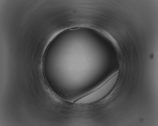 X0000096640956200802121107