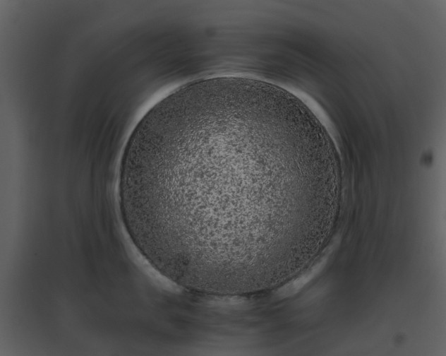X0000096640957200802121107