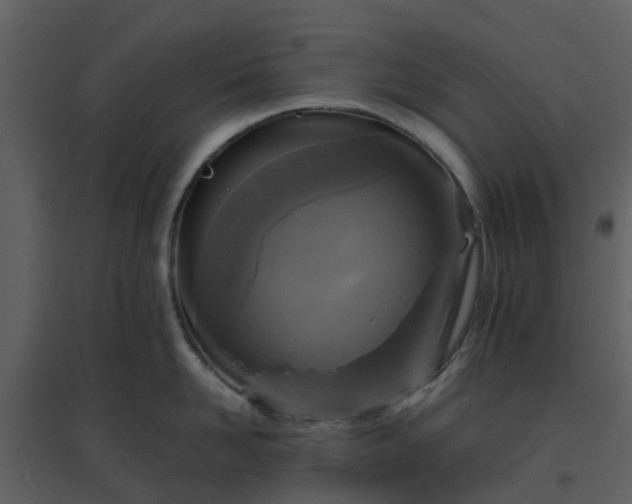 X0000096640958200802121107
