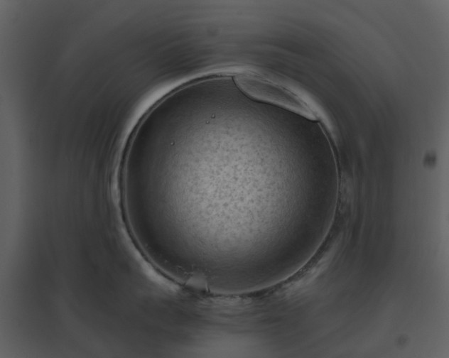 X0000096640959200802121107