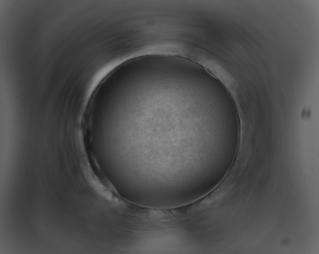 X0000096640960200802121107