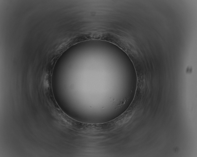 X0000096640962200802121106