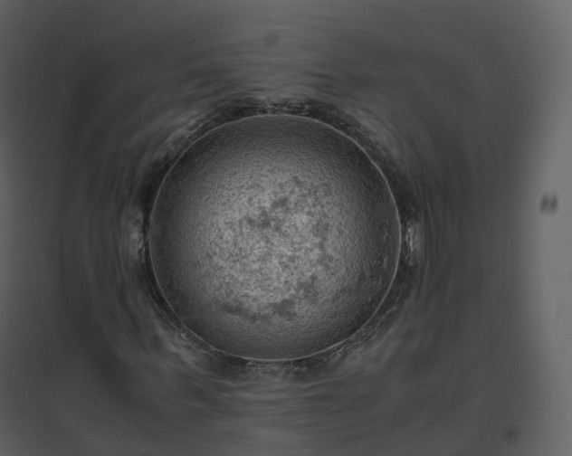 X0000096640963200802121106