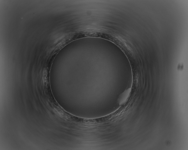 X0000096640964200802121106