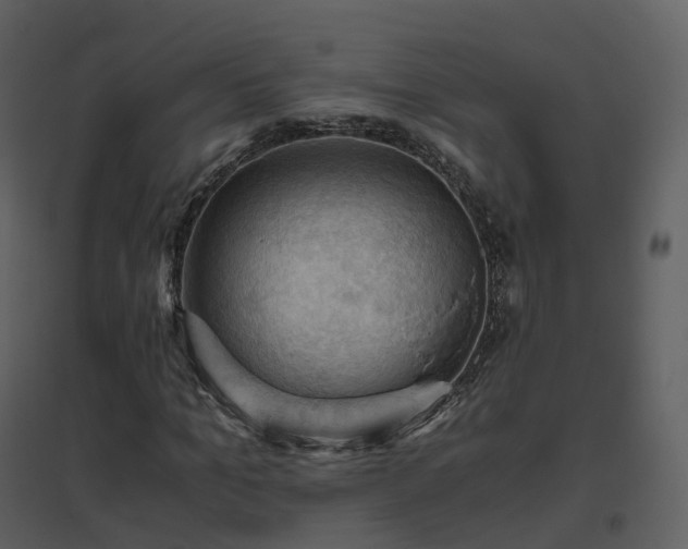 X0000096640965200802121106