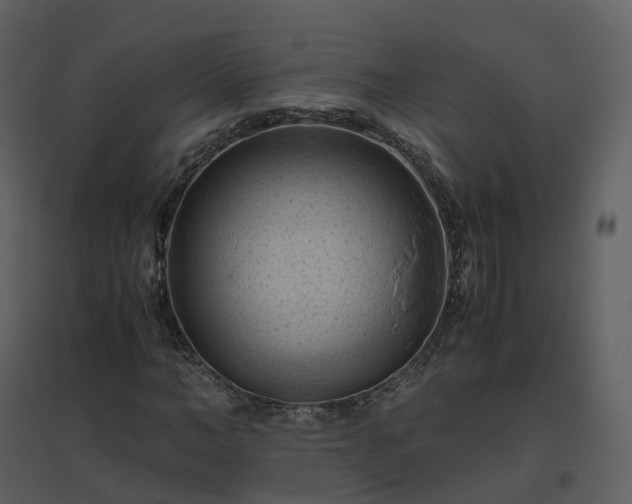 X0000096640966200802121106