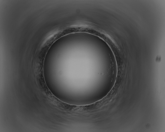 X0000096640967200802121106