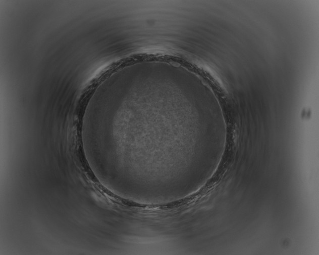 X0000096640968200802121106