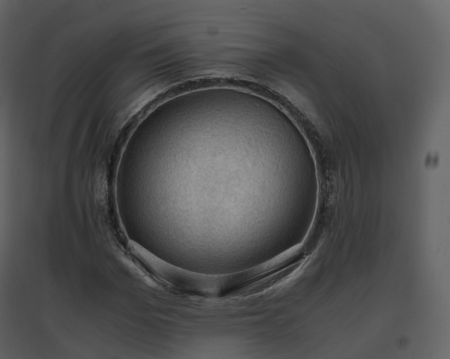 X0000096640969200802121106