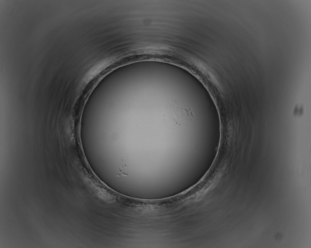 X0000096640970200802121106