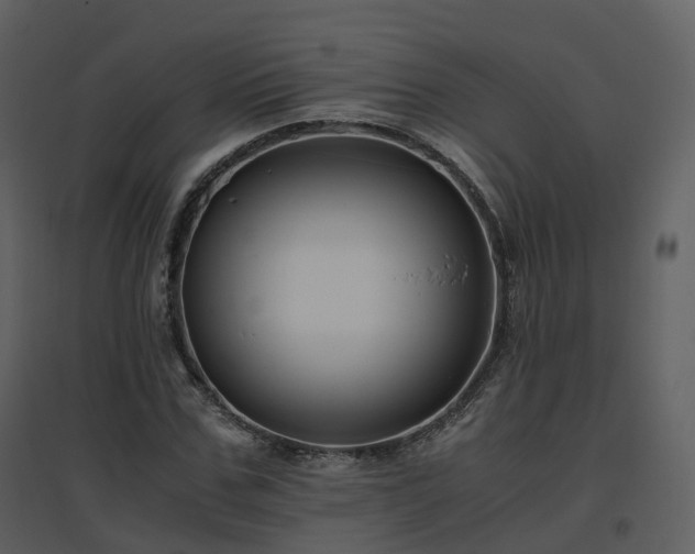 X0000096640971200802121106
