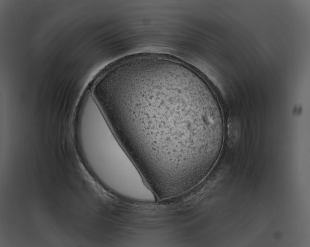 X0000096640972200802121106