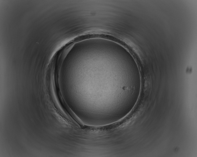 X0000096640973200802121106