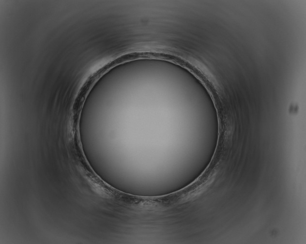 X0000096640974200802121106