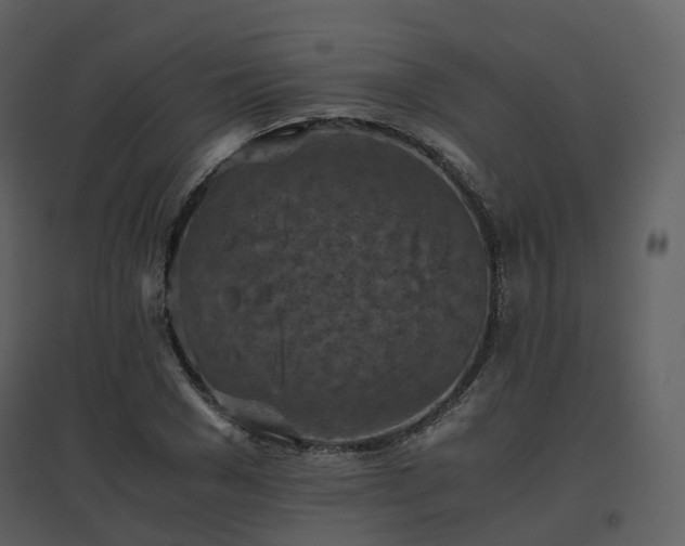 X0000096640977200802121106
