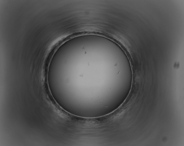 X0000096640979200802121106