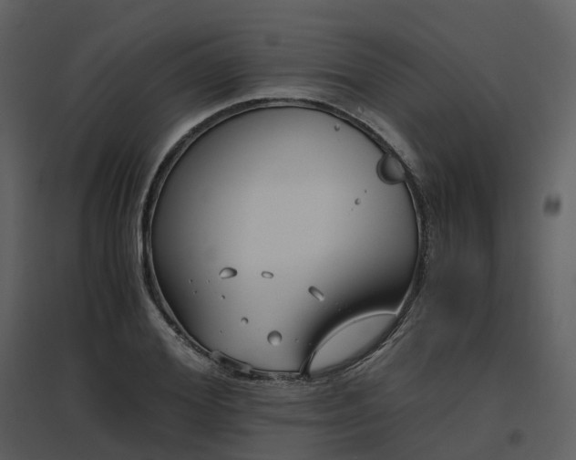 X0000096640980200802121106