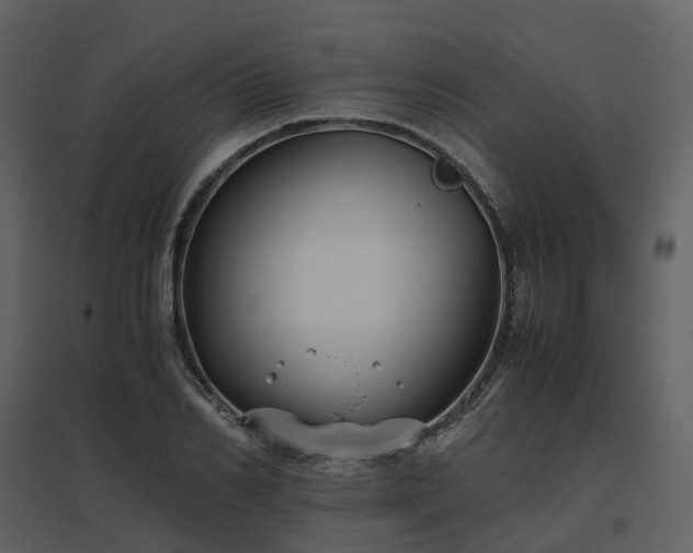 X0000096640982200802121106