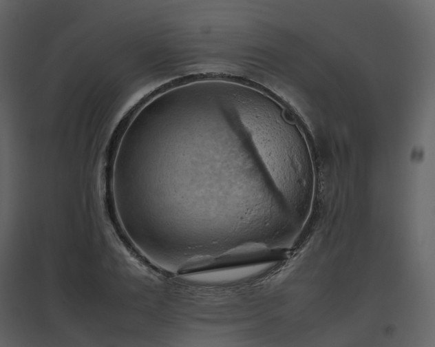 X0000096640983200802121106