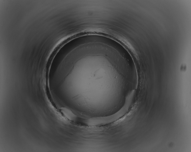 X0000096640984200802121106